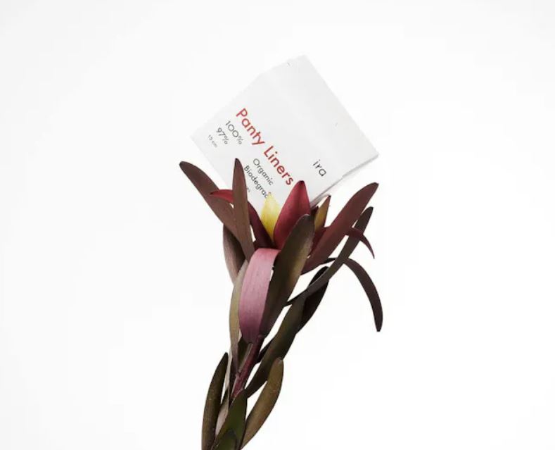 Organic Panty Liners