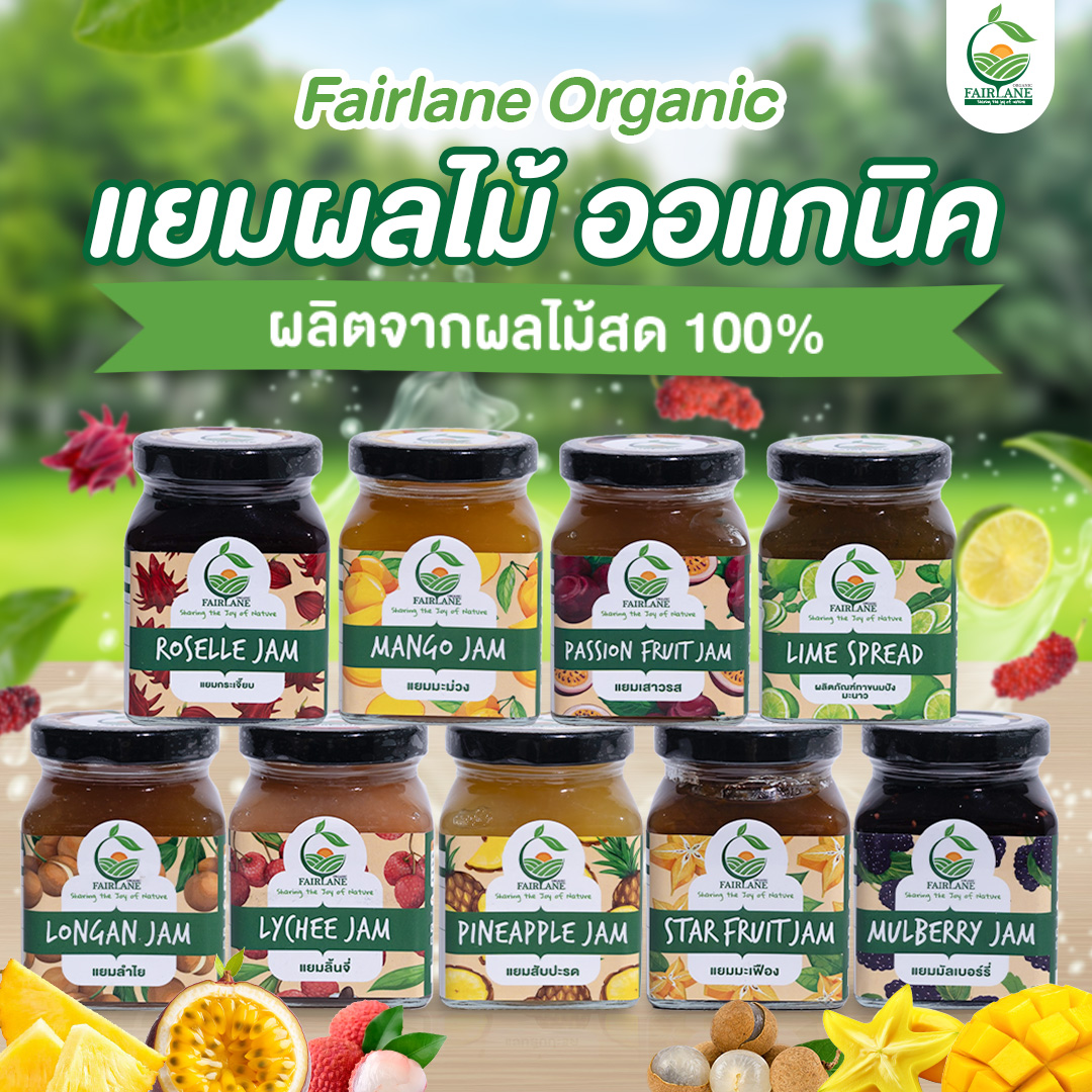 Jam Fortunate Set 5 Jams