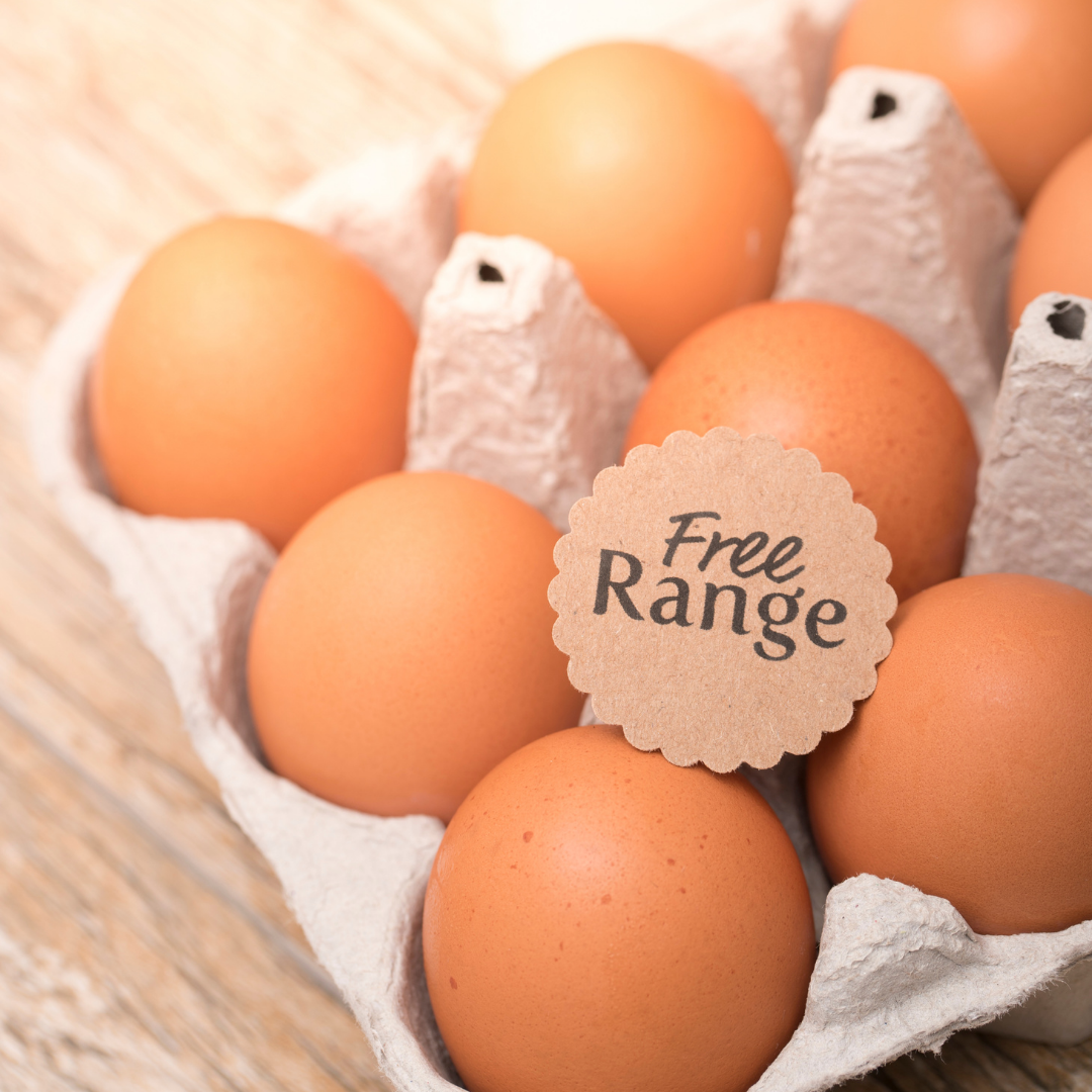 FreeRange Chiken Eggs SaMui 
