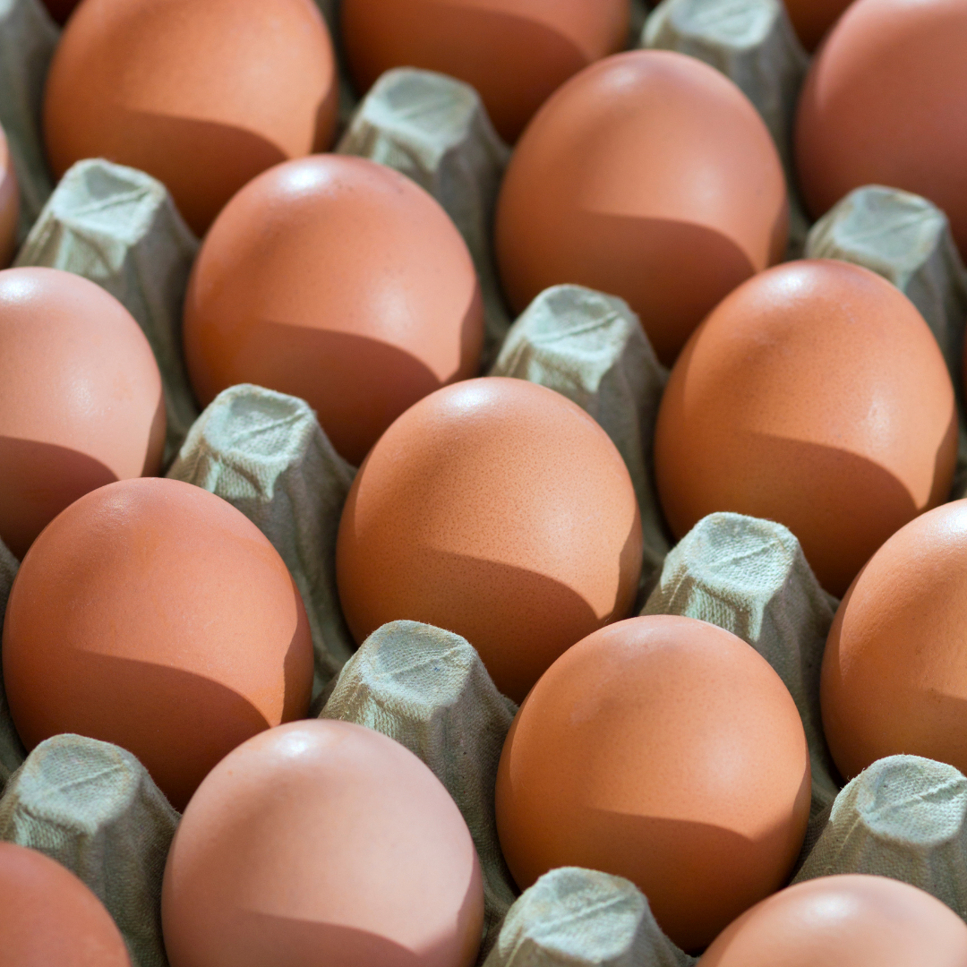 FreeRange Chiken Eggs SaMui 