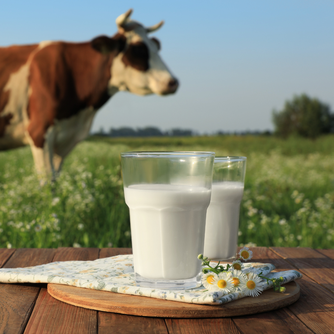 GrassFed RawMilk