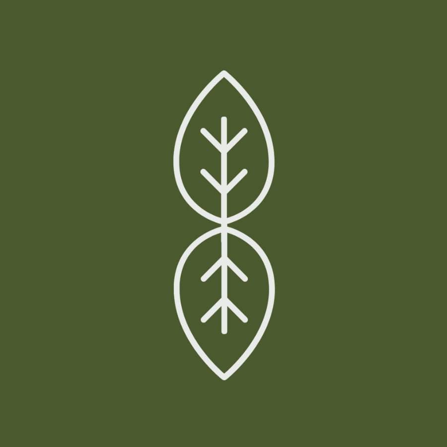 HappyLyfe Icon